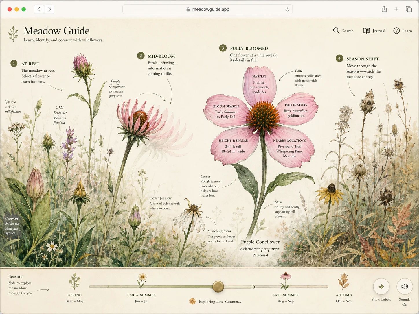 Imagined UIs: a wildflower guide that blooms, a burger that assembles, polaroids on a table, and more (1 of 10)